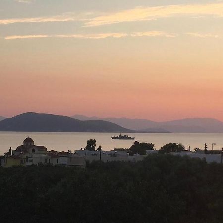Pepper Tree Apartman Aegina Kültér fotó