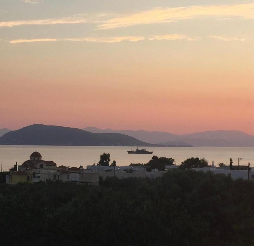 Pepper Tree Apartman Aegina Kültér fotó